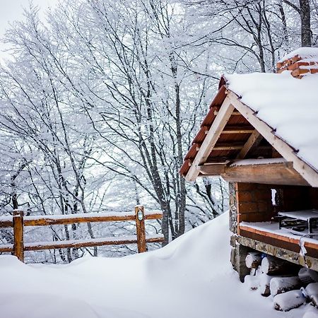 Holiday Home Floris Kopaonik Zewnętrze zdjęcie